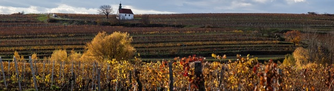 Hunter Valley Wineries and Blue Mountain Tours