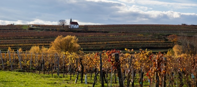 Hunter Valley Wineries and Blue Mountain Tours