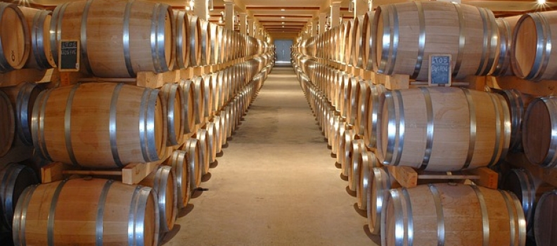 3 Famous Wine Tour Destinations in Hunter Valley